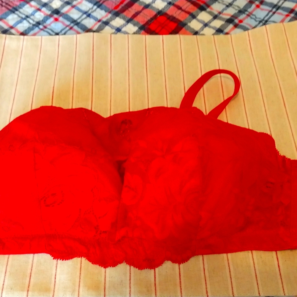 Red lace bra with modesty panel 40C